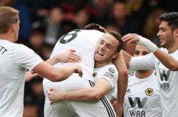 开云体育平台APP-美迪卡迪夫城击败狼队，喜获三分的简单介绍