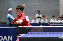 开云体育app-比利时乒乓球队翻盘法国乒乓球队，波尔爆发神勇的简单介绍