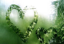 开云足球直播-关于切尔西重获胜利，稳居欧冠资格区的信息