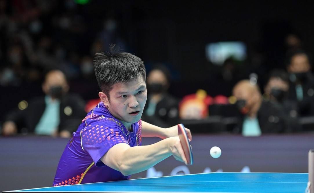 包含德国乒乓球队绝地反击波兰乒乓球队，波尔统治全场的词条