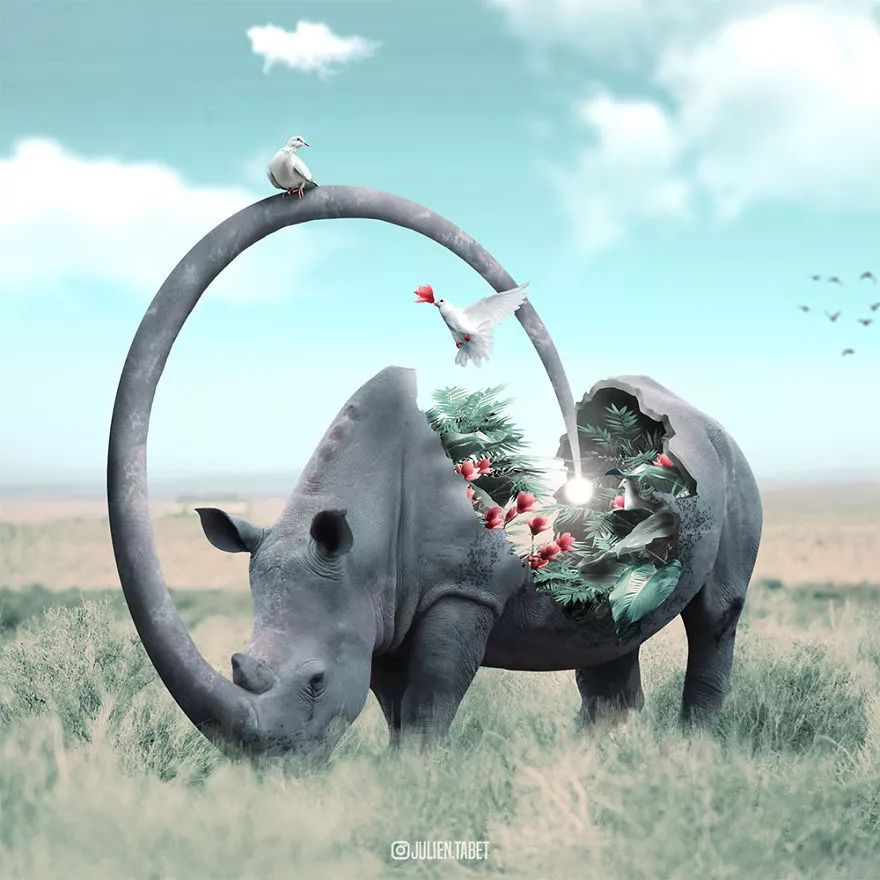 法国力擒瑞典,哈尔兰神话续写的简单介绍 法国力擒瑞典,哈尔兰神话续写的简单介绍