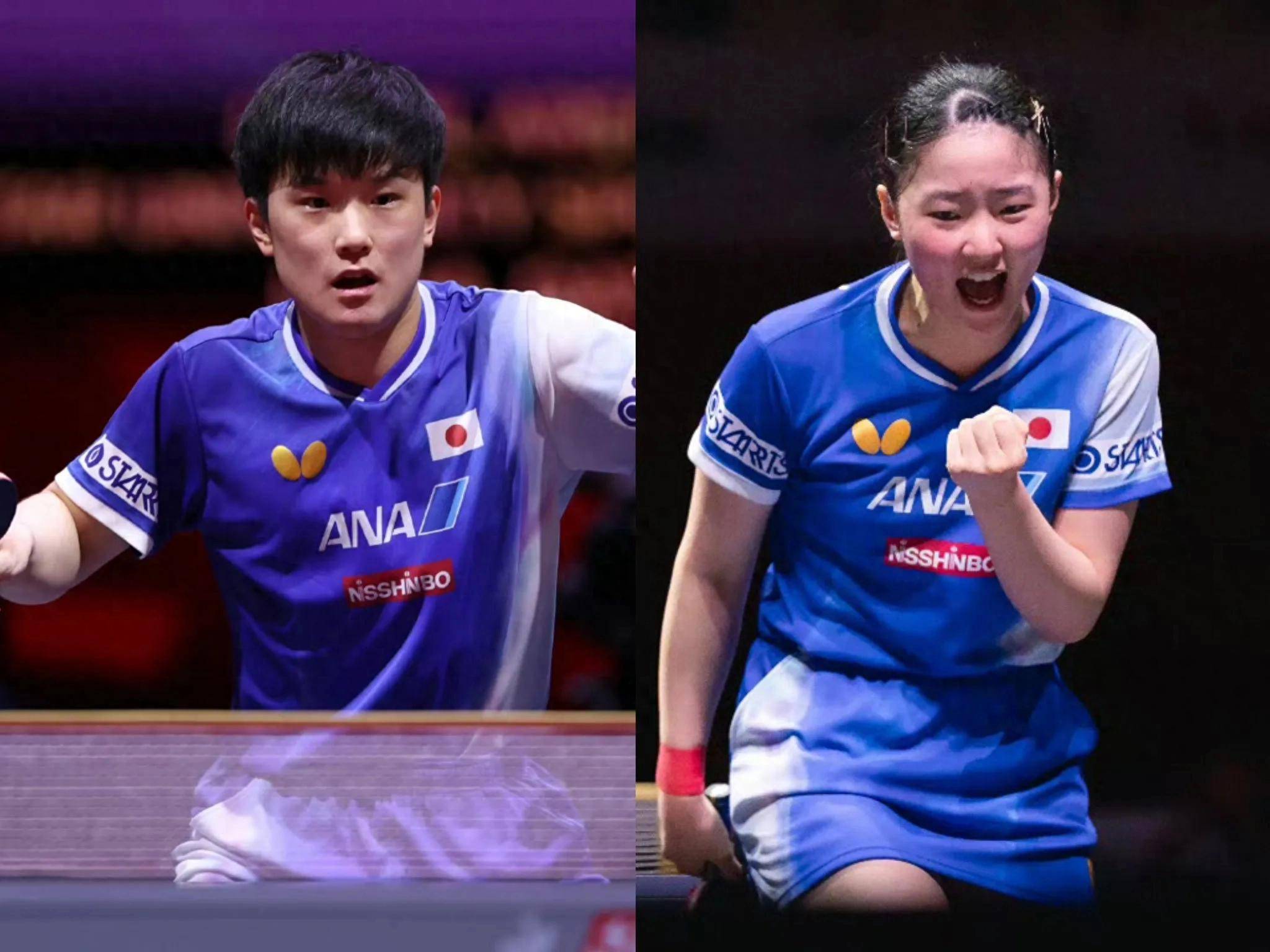 日本队逆转中国队,张本智和状态火热的简单介绍 日本队逆转中国队,张本智和状态火热的简单介绍