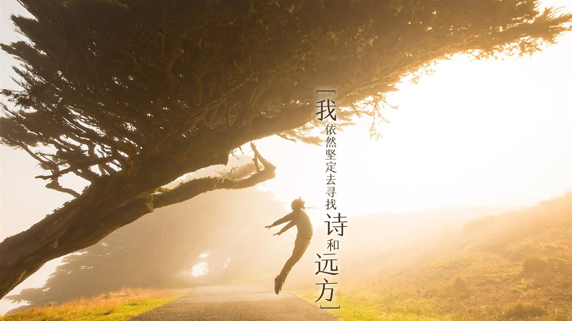 从撒哈拉到塞纳河,阿尔及利亚绝杀埃及背后的足球哲学与姆巴佩的节奏革命