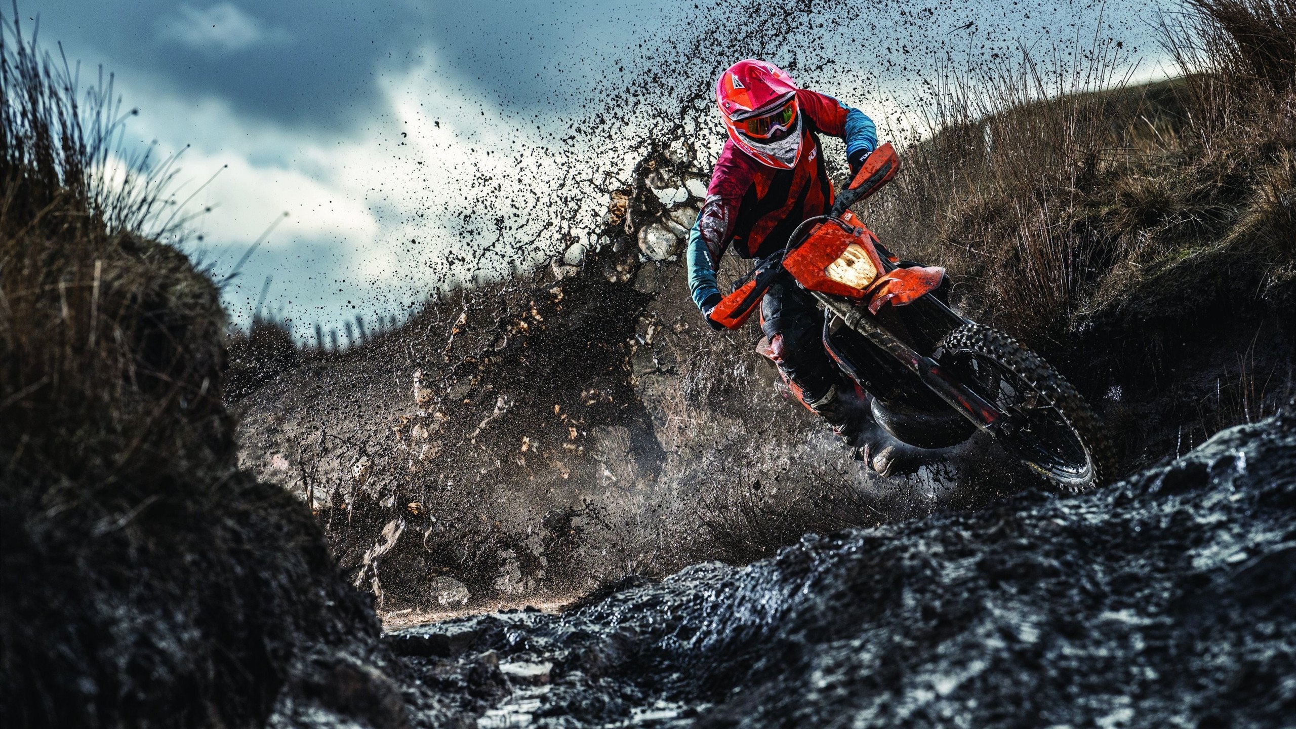 封锁与救赎，帕尔默如何从英格兰的阴影中重铸埃及之梦